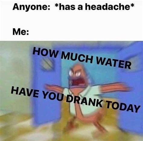 Water Memes To Stay Hydrated