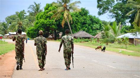 How Mozambique’s Smuggling Barons Nurtured Jihadists Bbc News