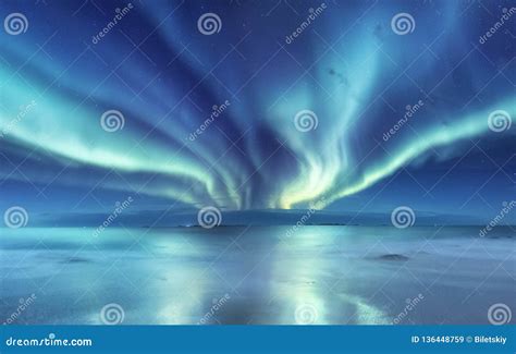 Aurora Borealis On The Lofoten Islands Norway Green Northern Lights