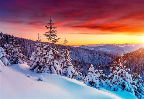 Winter Sunset Mountain View Fiery Snow Bonito Trees Sky Winter
