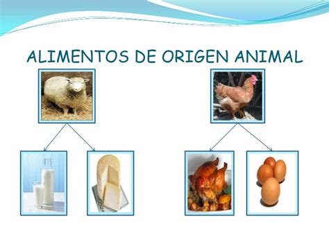 Alimentos De Origen Animal