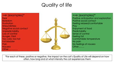 Quality Of Life Examples Digitalpictures