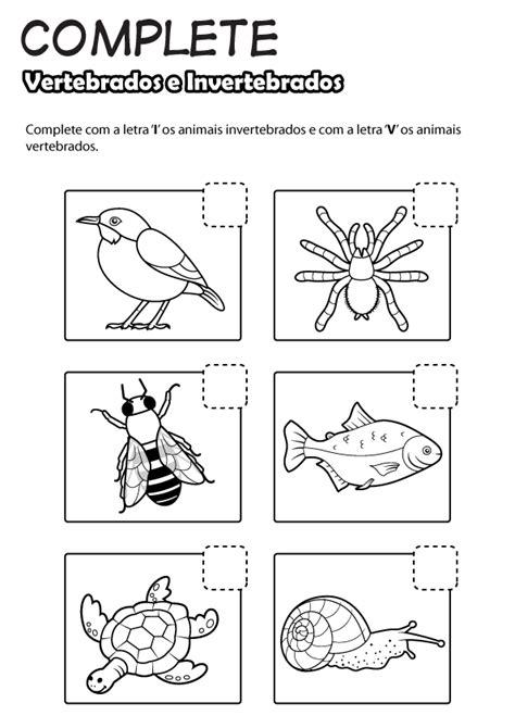 Animais Vertebrados E Invertebrados Atividades Educação Online