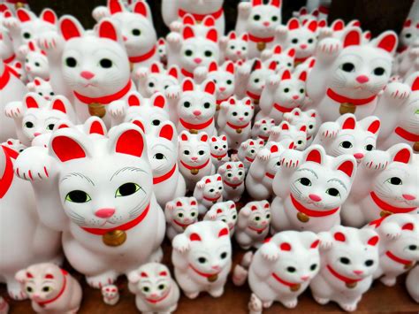 Japanese Lucky Cat Wallpaper 48 Images