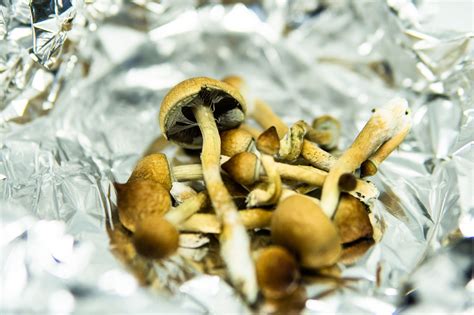 Ann Arbor Decriminalizes Magic Mushrooms And Other Psychedelics Eater