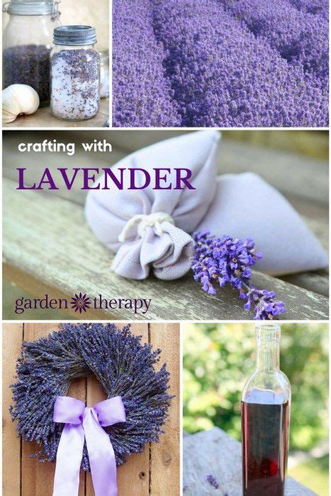 Lavender Is The Most Popular Flower In The World And Its So Easy To Make