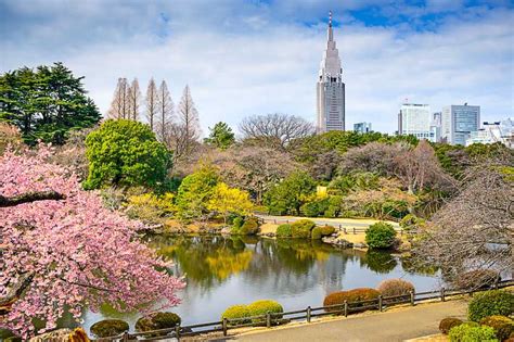 10 Tourist Attractions In Tokyo Japan