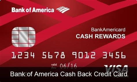 Home > credit card reviews > bank of america®. Bank of America Cash Back Credit Card | Credit card reviews, Bank of america, Credit card