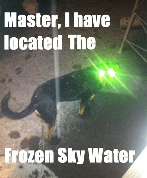 Alien Dog Finds Snow