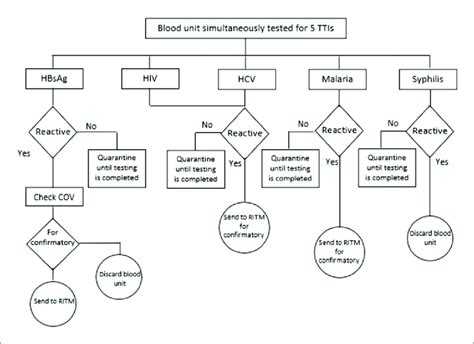 Testing Algorithm For Transfusion Transmissible Infections Download