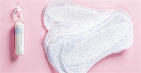 É Possível Menstruar No Primeiro Mês De Gravidez Médico Responde