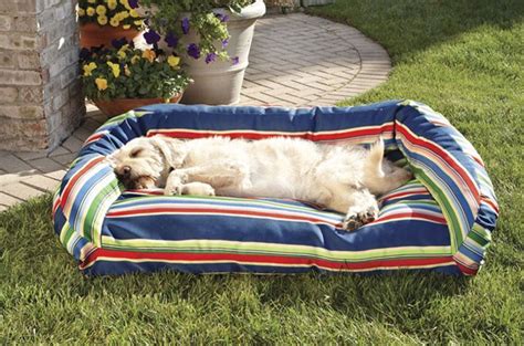 Best Outdoor Dog Beds Petguide