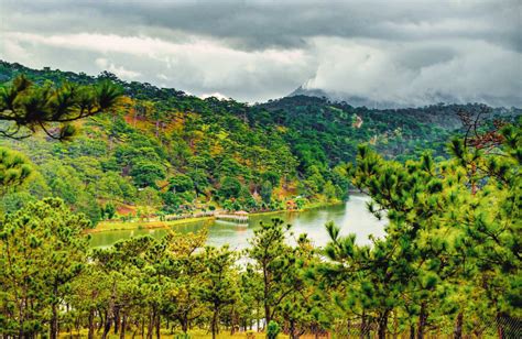 20 Best Places To Visit In Dalat Vietnam