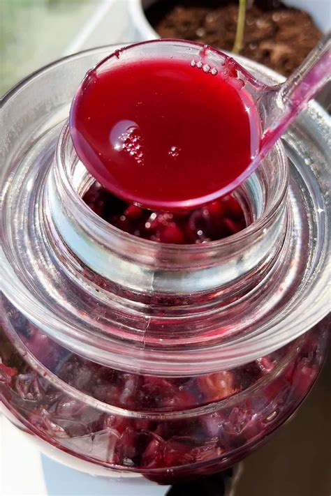 Homemade Grape Wine 2 Ingredient Recipe Recipes With Videos