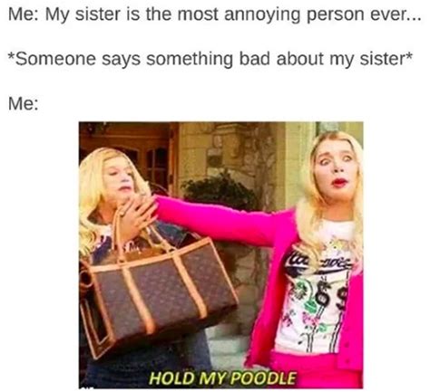 Best Sister Ever Memes 209 Quotes About Sisterly Bonds