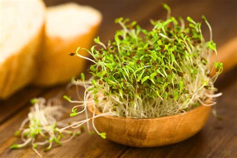 Health Benefits Of Broccoli Sprouts Top 10 Health Benefits Of Broccoli