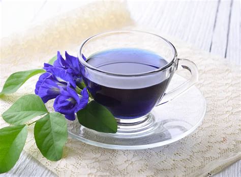 Agaknya selain bagi warna yang cantik, ada tak khasiat bunga telang untuk kesihatan?. Bunga Telang Kaya Manfaat, Bisa Usir Stres - Metropolitan.id