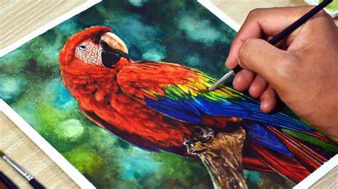Watercolor Painting Of A Macaw Parrot Youtube