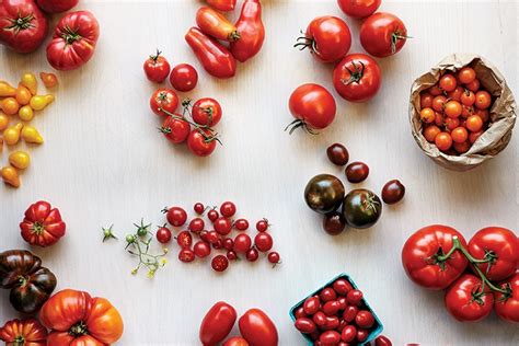 From The Vine Treasure The Many Types Of Tomatoes Food And Nutrition