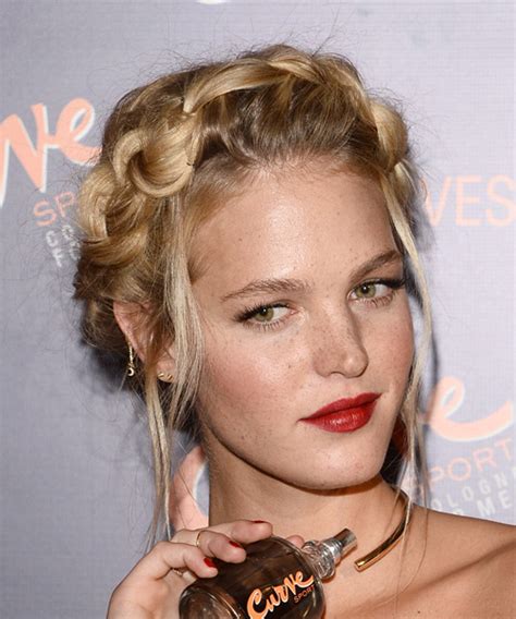 Erin Heatherton Long Straight Dark Blonde Braided Updo Hairstyle