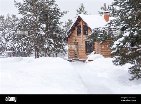 Rustic Log House Snow Covered Pine Trees Big Snowdrifts Snowing