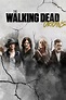 Watch The Walking Dead: Origins Season 1 Online | Free Full Episodes ...