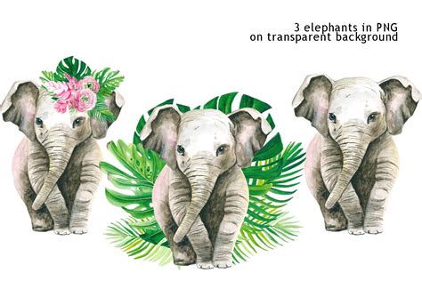 Watercolor Baby Elephant Clipart Tropical Flowers Clipart 733107