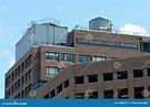 Hospital De La Universidad De Long Island Foto editorial - Imagen de ...
