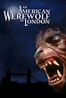 An American Werewolf In London wiki, synopsis, reviews, watch and download