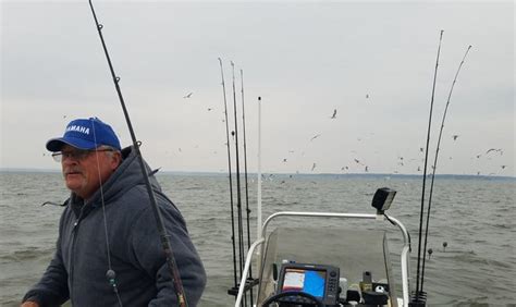 Birds Of A Feather Fall Fishing At Lake Texoma Is For The Birds So To