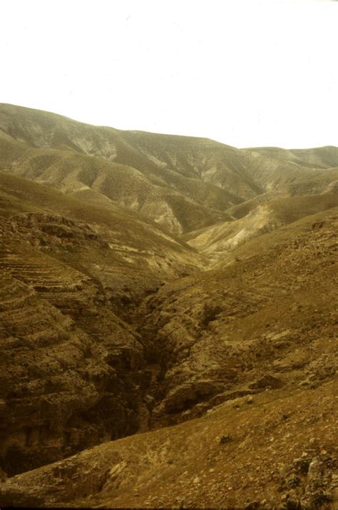 Midbar Arabah And Eremos—biblical Wilderness Environment And Society