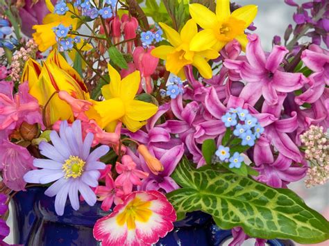 Spring Flowers From The Garden Wallpapers Hd Wallpapers Id 5631