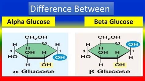 Difference Between Alpha Glucose And Beta Glucose Youtube