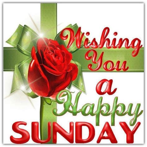 Wishing You A Happy Sunday Love Day Flowers Heart Friend Blessing Days