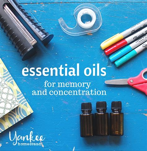 Essential Oils For Memory And Concentration Yankee Homestead