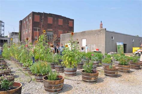 Rooftop Garden Urban Gardening Pinterest