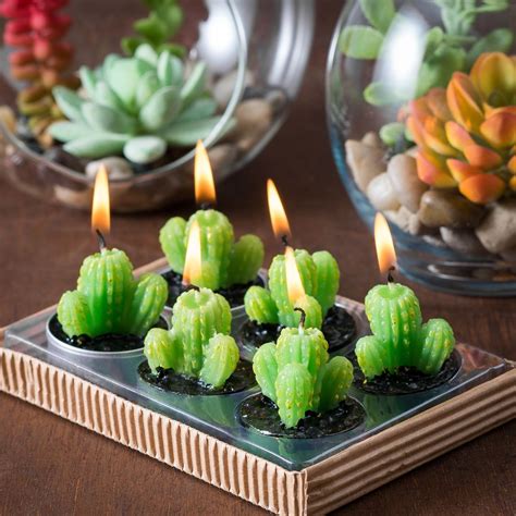 I consumed 28g within 45 min and couldnt sleep for 15hrs and felt really weird btw, a mescaline extraction from the dried cacti is actually pretty simple. Check out the deal on San Pedro Cactus Tealight Candles 6 ...