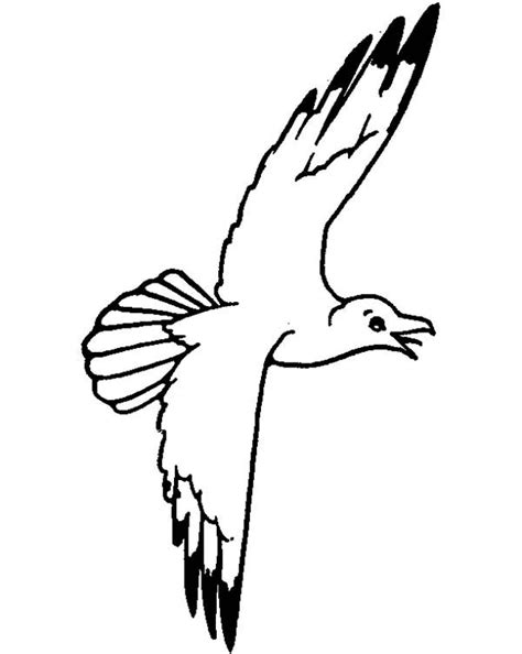 Seagull Sky Floating Coloring Page : Kids Play Color | Coloring pages, Coloring pictures, Sky