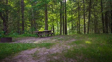 Check spelling or type a new query. Black River State Forest Campground | Michigan