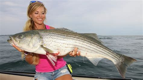 Striped Bass Picture Clashing Pride