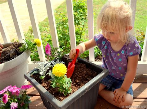 Dollar general coupons are possible to find never miss out a dollar general weekly ad deal by using this page regularly. Color-filled flower pots {Sprucing up the Outdoors for ...