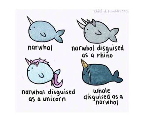 Narwhals Meme By Pandacorn Memedroid