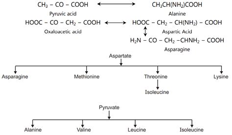 Amino Acid Formation Solution Parmacy