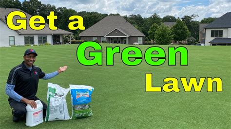 How To Get A Green Lawn Fast 3 Easy Tips For Quick Results Youtube