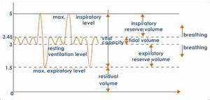 Lung Volumes And Lung Capacity Tv Irv Erv Rv Ic Ec Frc