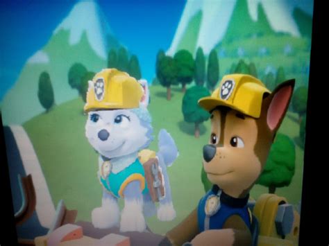 Chase X Everest Together Forever Paw Patrol Love Stories Wikia