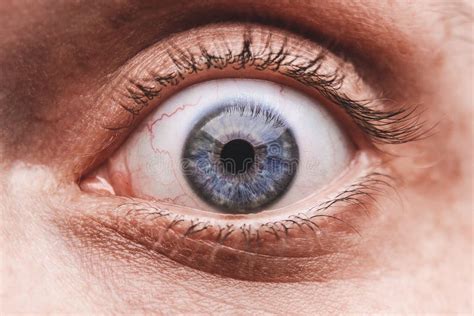Close Up Of The Blue Eye Of The Surprised Man Stock Photo Image Of