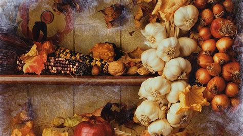 Fall Harvest Wallpapers Top Free Fall Harvest Backgrounds Wallpaperaccess