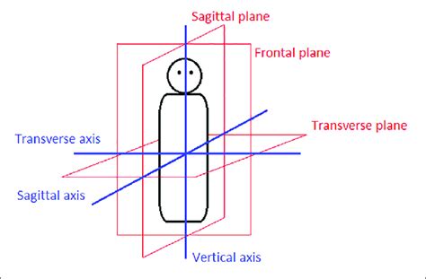 The Three Body Planes And Axes Download Scientific Diagram