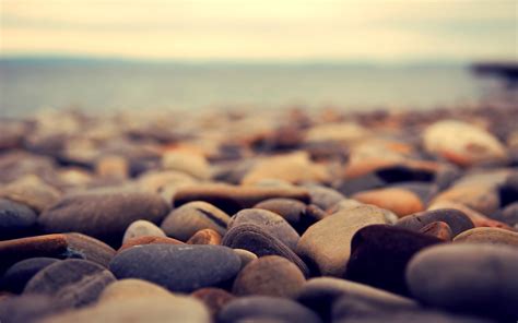 Beautiful Rocks From The Beach Macro Hd Wallpaper Wallpaper Download